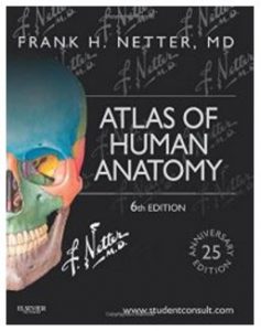 Netter's - Best anatomy books for medical students