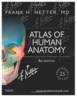 Best anatomy books for medical students