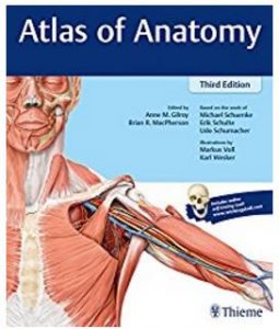 Thieme - Best anatomy books for medical students